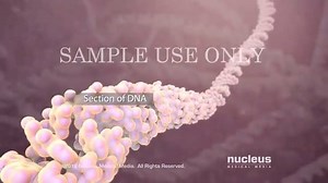 Cancer treatment - Chemotherapy | Davidson's Principles and Practice of Medicine