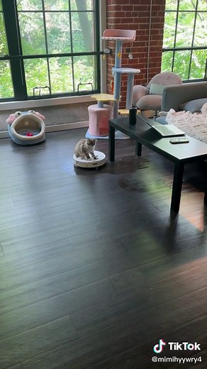 Something I can Ride~ #smokingkittens