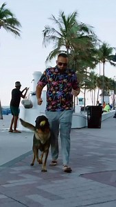 The most modern form of dog training, combines technology with a modern understanding of dog behaviour and learning theory. Clickers and cookies have been around for a long time, it is not new nor is it cutting edge. We are well aware of the limitations as well as the possibilities with that form of training. #dogtraining #doglife #dogbehavior | Shield-K9 Dog Training