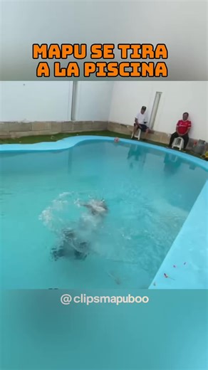 @Mapu_boo se tira a la piscina #humor #dialis #pollada | falling in the pool