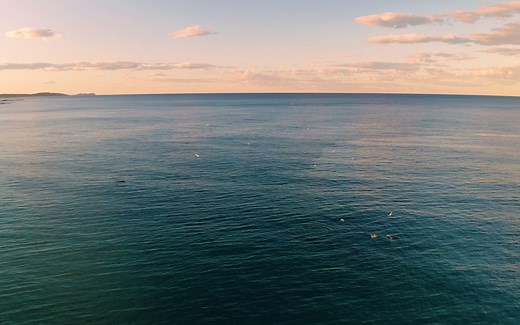 4K高清海洋素材