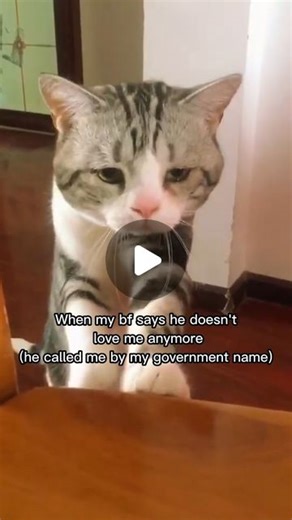 couple funtivities on Instagram: "So true😂🔥FOLLOW FOR MORE!🔥 . . . #couple #couplegoals #couples #couplememes #meme #fun #love #couplefuntivities"