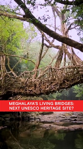 India’s UNESCO World Heritage submission shines a light on one of Meghalaya’s most extraordinary traditions - the living root bridges. Created by guiding rubber tree roots across rivers, these bridges are nurtured over generations, forming natural pathways that survive floods and time itself. Living proof that some of the strongest structures are grown, not built. #UNESCO #WorldHeritage #Meghalaya | HISTORY