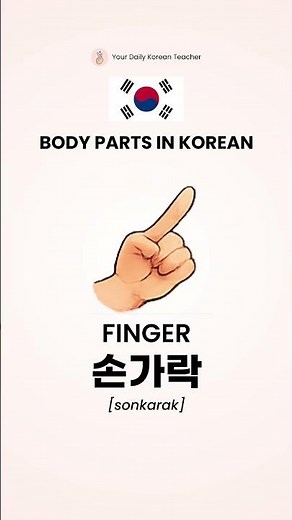 Body parts in Korean language 🇰🇷 #koreanlanguage #korean #learnkorean