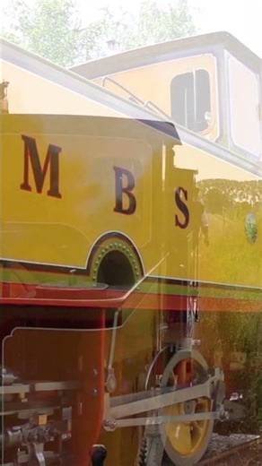 Traveling by steam train in the Netherlands. (6)