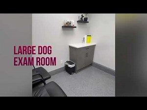 Paws and Claws Veterinary Clinic Virtual Tour