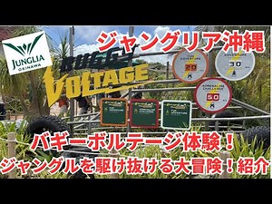 【ジャングリア沖縄】バギーボルテージ体験！ジャングルを駆け抜ける大冒険！#バギーボルテージ#ファンアドベンチャーコース#アドレナリンチャレンジコース#（JUNGLIA）[ジャンググリア