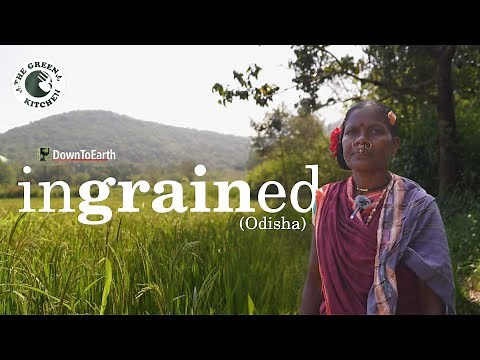 Inside Koraput’s Effort to Preserve Native Rice and Millets: The Untold Story | Green Kitchen S4 E2