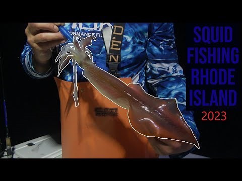 Rhode Island Squid 2023 | How to catch