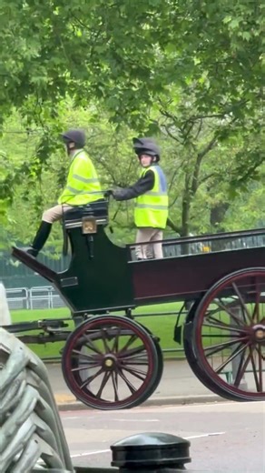 Wellington barracks #horse #highlights #travel