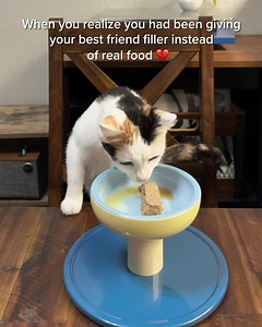 If you’re like me, you to want treat your cat like royalty. I recently put Smalls to the test and happy to report that they delivered on their promises of fresh ingredients, better health, and that all-important taste test. | Smalls