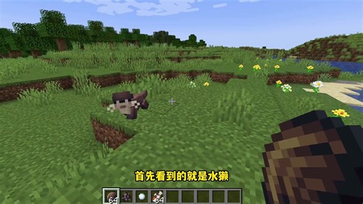 我的世界：各种可爱的小动物，保证让你的探险更有意思 #我的世界#Minecraft#游戏内容风向标_爆闪