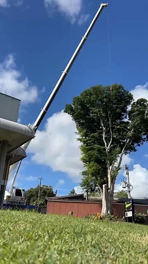 Check out this awesome time lapse from one of our many jobs today.. Thanks to our amazing avant operator, Hayden, for sharing with us! #TeamGlobal | Global Tree Works