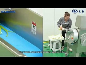 Fruit and vegetable whshing and processing line