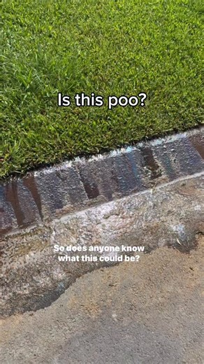 Matthew richardson on Instagram: "Do you know what’s happening here? Also how do we get the council to do something quicker?"