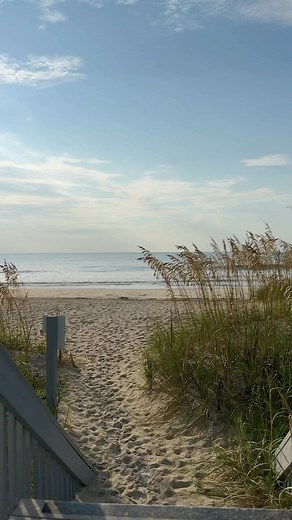 Beauty is all around us. 💛 Walk out to these views at Palmetto Dunes. 😍🌊🏖️🌾 Plan your next Hilton Head Island beach vacation to Palmetto Dunes Resort by visiting palmettodunes.com. 🌊☀️✨#hhi #hiltonhead #hiltonheadisland #palmettodunes #beach #beachwaves #seagrass #waves #ocean #vacation #resort #travelling | Palmetto Dunes Oceanfront Resort