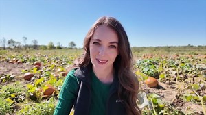 How a rainy spring shaped Indiana’s 2025 pumpkin crop