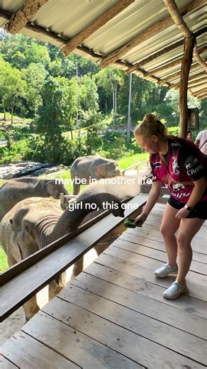 Ethical Elephant Sanctuaries in Thailand: A Responsible Travel Guide