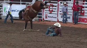 Gotta See It: Best of Calgary Stampede Day 2