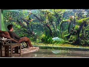 Stunning Aquariums: Breathtaking Fish Tank Designs & Setup Ideas for Your Home | Relax & Enjoy