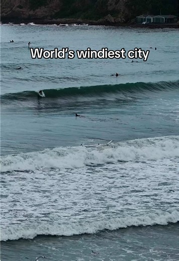 Exploring Wellington: The World’s Windiest City