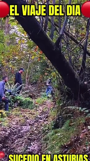 Videos de Mikimendez (@miguelillomendez) con “sonido original - Mikimendez”