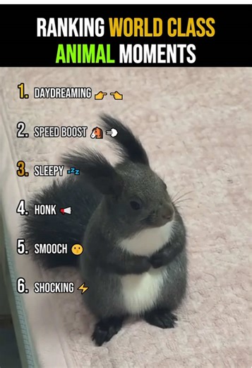 Fun Animal Facts To Brighten Your Day