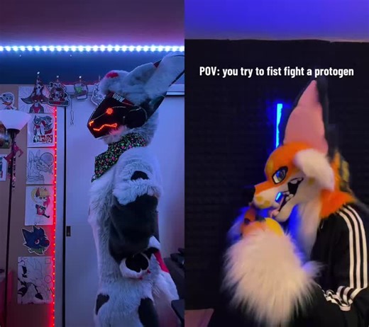 Exploring the World of Fursuits and Protogens