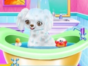 Play My New Poodle Friend - Pet Care Game | Free Online  Games. KidzSearch.com