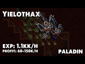Paladin | Yielothax | Tibia