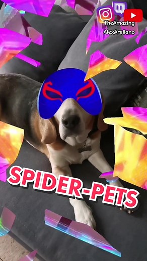 Spider-Pets: A Fun Look at Spiderman's Animal Companions