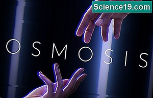 Osmosis: apibrėžimas, procesas, pavyzdžiai 💫 Mokslinė Ir Populiarus Multimedijos Versija. 2025