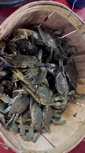 18K views · 104 reactions | It’s 呂呂 day! 100% local crabs all day!...