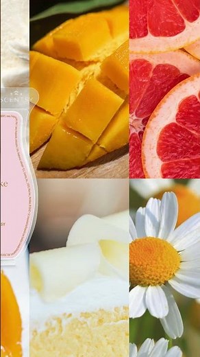 Scentsy July 2026 Bring Back My Bar lineup! (BBMB) 👉