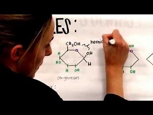 Benedicts Reagent and Reducing Sugars