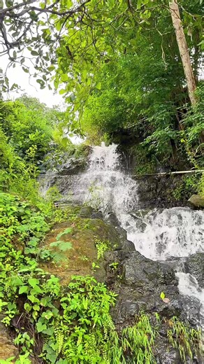 Tempat Tersembunyi dengan Air Jernih di Gunungkidul