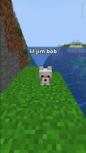 This Is The BEST Minecraft Update