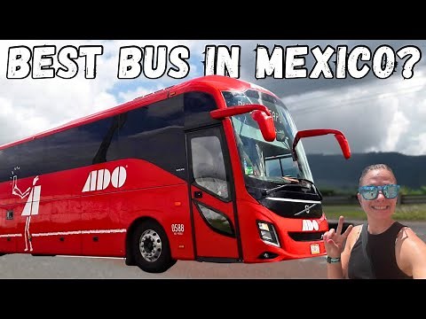 ADO Buses in Mexico: Full Review & Travel Guide! 🚌🇲🇽