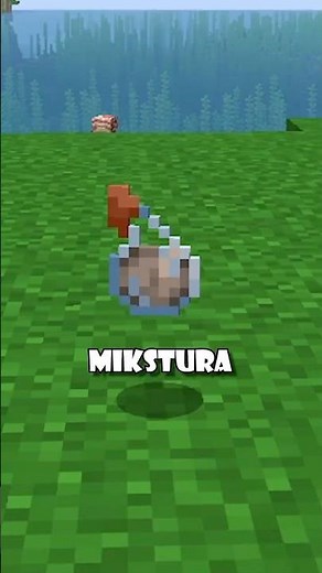Najlepsza mikstura w Minecraft #minecraft