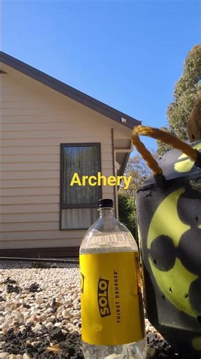 #prodigyarchery #australia #archery #broadhead #bowtech #backyard