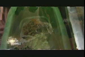 ▶️ Modern Marvels - Modern Marvels: Fertilizer