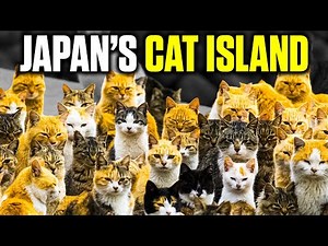 Unbelievable! An Entire Island Filled With Cats in Japan? [WATCH NOW]