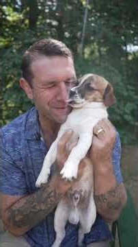 Junior's Breed Results Shocked Us All