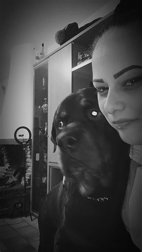 Video di Bryan Rottweiler Simo (@bryan.simo20) con sunet original - Baby_sabinofficial