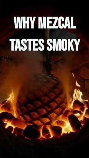 Why Mezcal Tastes Smoky