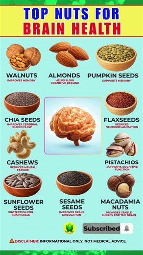 TOP Nuts & Seeds That Support Brain Health