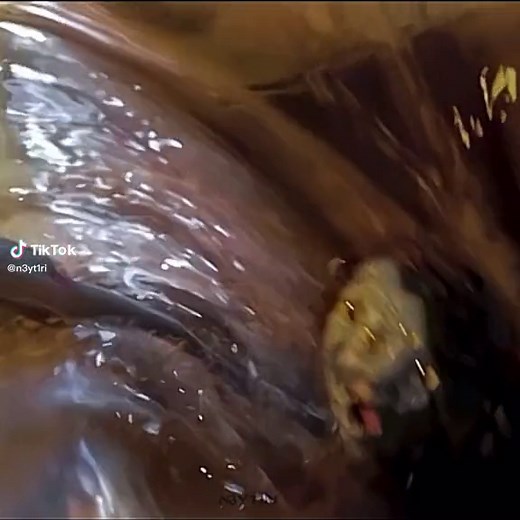 Neytiri and Tuk: A Deep Dive into Their Relationship | Avatar Edits