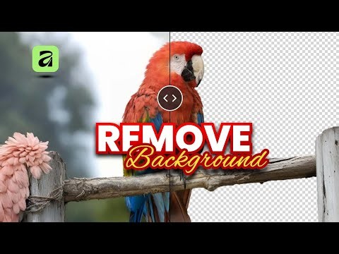 Remove Background in Affinity by Canva | Quick & Easy Tutorial