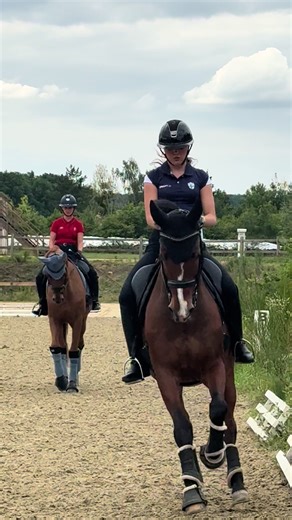 Europeans Dressage Horse Training Highlights