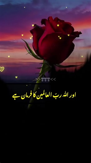 Urdu Poetry & Deep Lines | View Problems